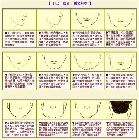 面相 下巴長|【下巴長面相】下巴長的面相大公開：財運亨通、貴人扶植，福氣。